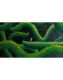 The Master's Pupil Xbox OneXS активация