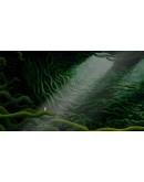 The Master's Pupil Xbox OneXS активация