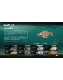 The Catch: Carp &amp Coarse Fishing Xbox активация