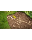 DINOSAURS: Mission Dino Camp Xbox OneXS активация