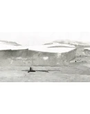 Dull Grey Xbox One &amp Xbox Series XS активация