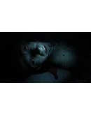 Ambet Alert Xbox One & Xbox Series XS активация Ambet Alert Xbox One & Xbox Series XS активация