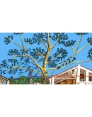 Meowsterpiece Museum Bundle Xbox OneXS активация