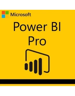 POWER BI PRO 25/100 users 1 year ключ