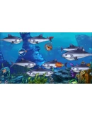 Feeding Frenzy 2 Xbox One &amp Xbox Series XS активация