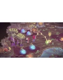 The Wild at Heart Xbox OneXS активация The Wild at Heart Xbox OneXS активация