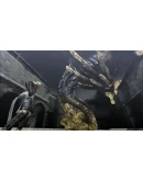 NIER Xbox One &amp Xbox Series XS активация