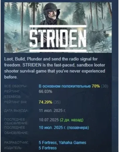 STRIDEN АВТОДОСТАВКА STEAM РОССИЯ