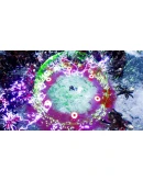 Greedland XBOX SERIES XS Цифровой Ключ