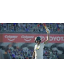 CRICKET 24: THE OFFICIAL GAME OF THE ASHES PC (WIN) КЛЮ