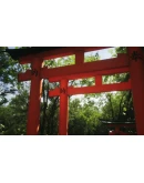 LUSHFOIL PHOTOGRAPHY SIM XBOX SERIES SX КЛЮЧ/КОД