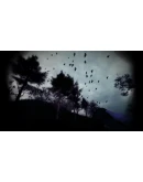 Light &amp Dark Bundle Xbox OneXS активация