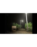 What Happened to Lily? АВТОДОСТАВКА STEAM РОССИЯ