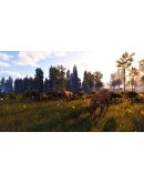 WINDSTORM: START OF A GREAT FRIENDSHIP - REMASTERED XBO