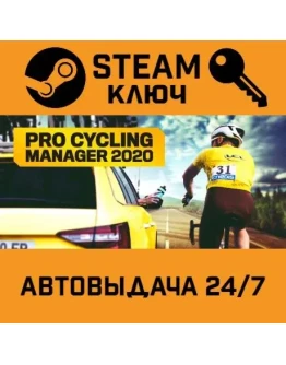 Pro Cycling Manager 2020. STEAM-ключ (Global)