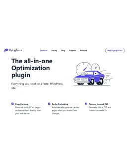 Оригинальная лицензия FlyingPress на один год