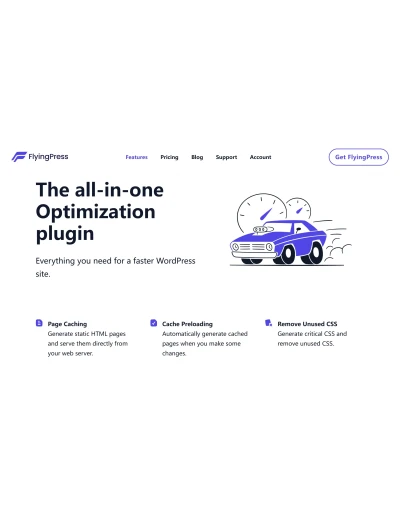Оригинальная лицензия FlyingPress на один год