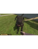 PETS HOTEL XBOX SERIES SX КЛЮЧ/КОД