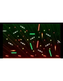 DASH &amp SWING XBOX SERIES SX КЛЮЧ/КОД