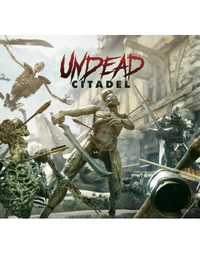 Undead Citadel купить для Pico 3 4 pro ultra