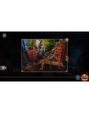 ROYAL ROMANCES: THE POWER OF CHOSEN ONE CE XBOX XBOX КЛ