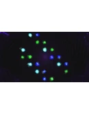 ENERGY CYCLE (WINDOWS) PC (WIN) КЛЮЧ/КОД