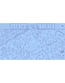 MEOW MOMENTS BUNDLE - (НАБОР MEOW MOMENTS) XBOX + PC (W