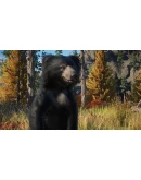 PLANET ZOO: НАБОР ЖИВОТНЫХ ЕВРАЗИЯ XBOX SERIES SX КЛ