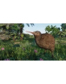 PLANET ZOO: OCEANIA PACK XBOX SERIES SX КЛЮЧ/КОД