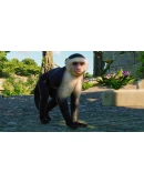 PLANET ZOO: НАБОР ЮЖНАЯ АМЕРИКА XBOX SERIES SX КЛЮЧ/