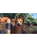 НАБОР АВСТРАЛИЯ ДЛЯ PLANET ZOO XBOX SERIES SX КЛЮЧ/К