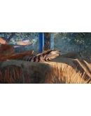 НАБОР АВСТРАЛИЯ ДЛЯ PLANET ZOO XBOX SERIES SX КЛЮЧ/К