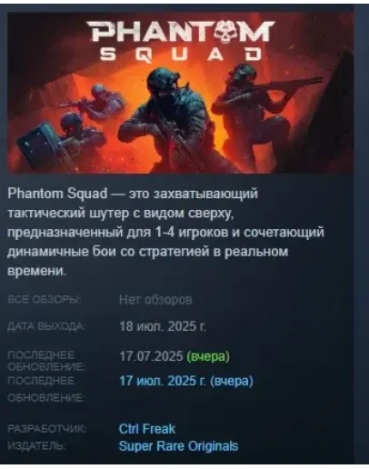 Phantom Squad АВТОДОСТАВКА STEAM РОССИЯ