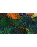 Dawn Apart * STEAM РОССИЯ АВТОДОСТАВКА 0 КАРТЫ