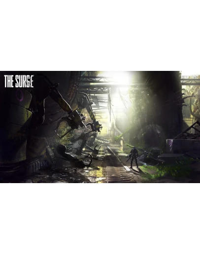 The Surge 1&amp2steam