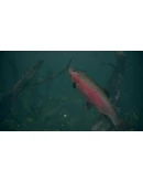 Ultimate Fishing Simulator 2 Steam Ключ РФ+Мир +Бонус