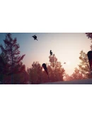 Descenders Next АВТОДОСТАВКА STEAM РОССИЯ