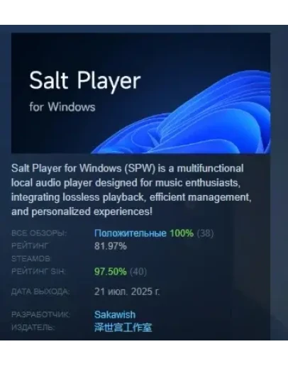 Salt Player for Windows АВТОДОСТАВКА STEAM РОССИЯ