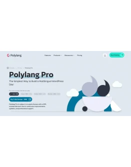 Плагин GPL для инструмента перевода Polylang Pro