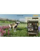 WolfQuest: Anniversary EditionSTEAM GIFT AUTORU+МИР WolfQuest: Anniversary EditionSTEAM GIFT AUTORU+МИР