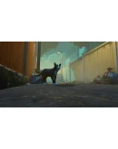 Copycat Xbox Series XS активация Copycat Xbox Series XS активация