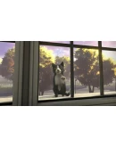 Copycat Xbox Series XS активация Copycat Xbox Series XS активация