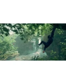 Ancestors: The Humankind Odyssey XBOX КЛЮЧ + АКТИВАЦИЯ