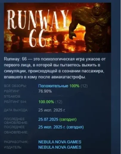 Runway 66 АВТОДОСТАВКА STEAM РОССИЯ