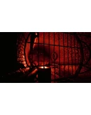 Runway 66 АВТОДОСТАВКА STEAM РОССИЯ