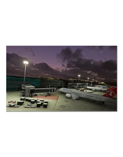 FIMP Mauritius FSDG MSFS