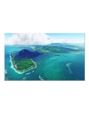 FIMP Mauritius FSDG MSFS