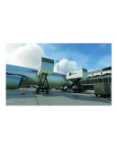 FIMP Mauritius FSDG MSFS