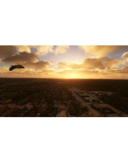 FS BIRDS - ASIA EAST MSFS