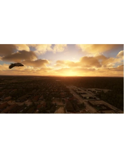 FS BIRDS - ASIA EAST MSFS